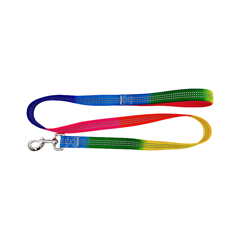 D Ring Dog Slip Leads Leash Kennel Nylon Touw