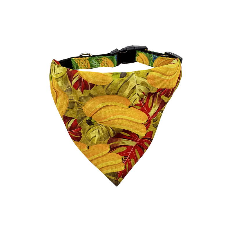 Halsband Bandana en bijpassende scrunchie-set verstelbaar